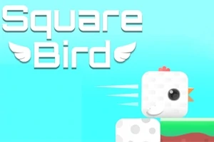 하늘색 배경에 Square Bird라는 텍스트와 하얀색 블록 모양 새가 있는 이미지