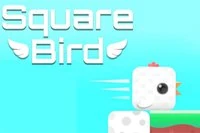 새가 안전하게 집에 갈 수 있도록 도와주세요?