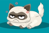 질문에 답하고 당신과 비슷한 유명한 고양이를 찾아보세요