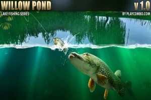 낚싯줄에 매달린 물고기와 그 아래에서 수영하는 커다란 물고기