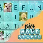 강아지, 오리, 곰 인형, 고양이의 사진과 함께 단어를 찾아 연결하는 워드 서치 퍼즐